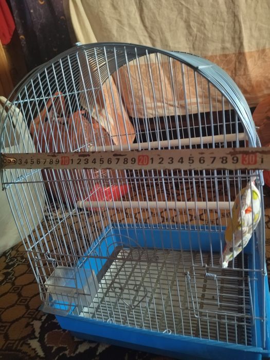 Продам разные клетки