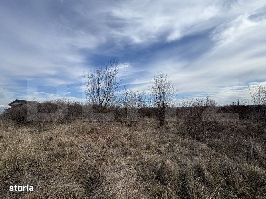 Teren extravilan de vanzare, 15.000 mp, zona Narcise II