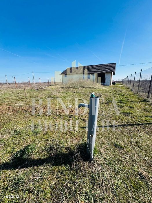 Teren intravilan Mosnita Noua 627mp+ constructie cadru metalic