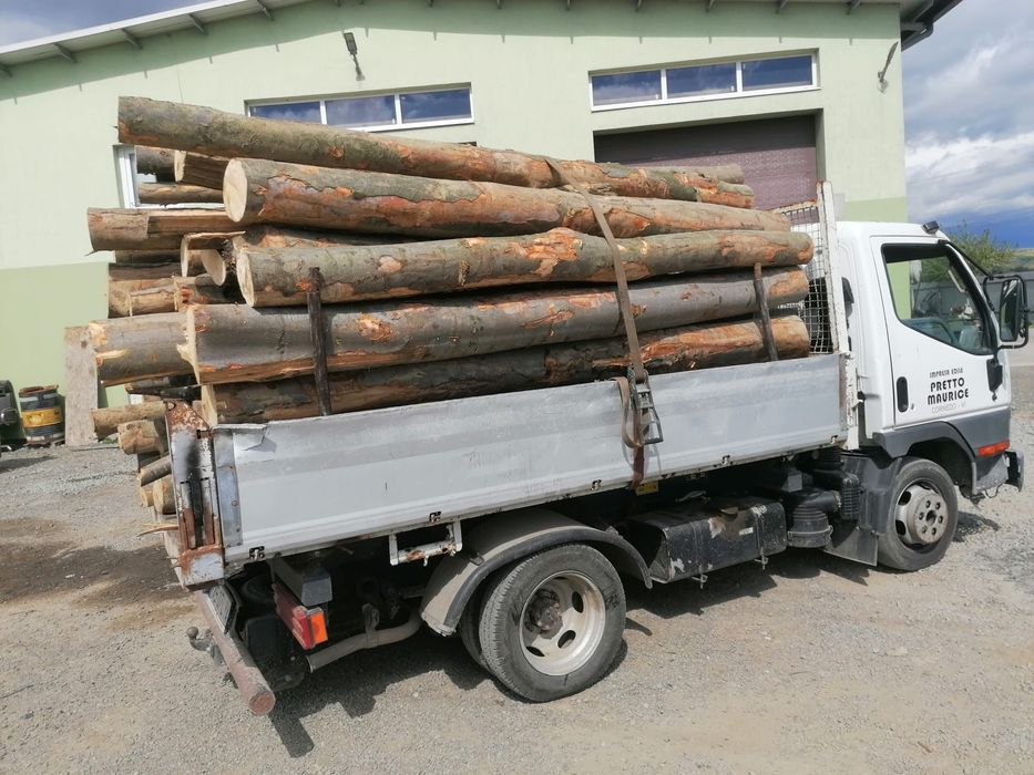 Lemn de foc stejar, fag și carpen