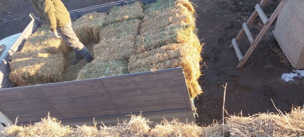 Прес бар жонышка камыс