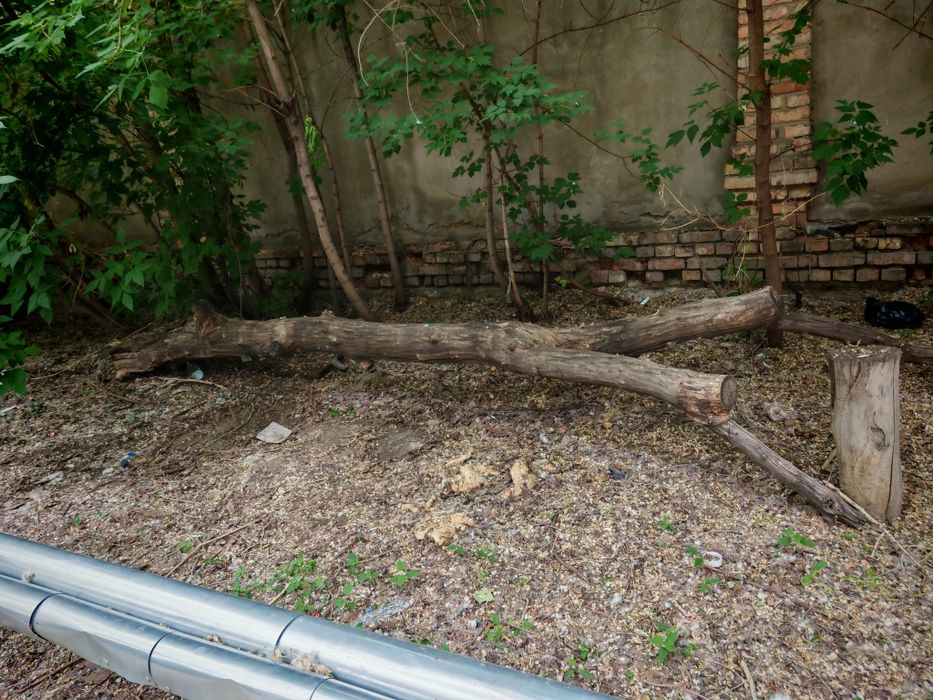 Дрова бесплатно самовывоз