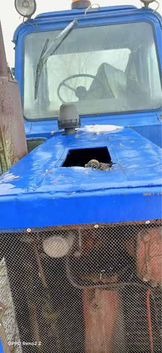 Продам капот мтз-80