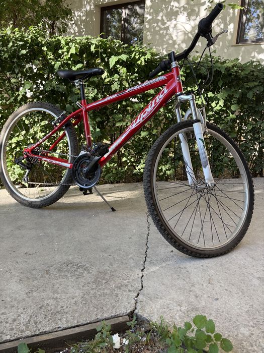 Bicicleta Mountain Bike Alpina