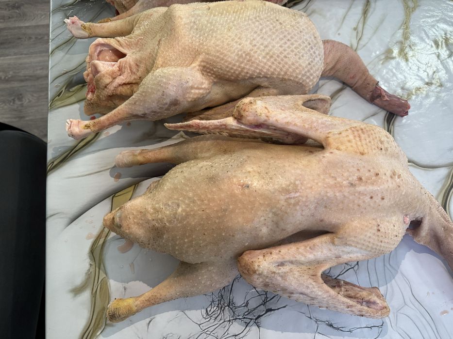 Продаём тушка гуся