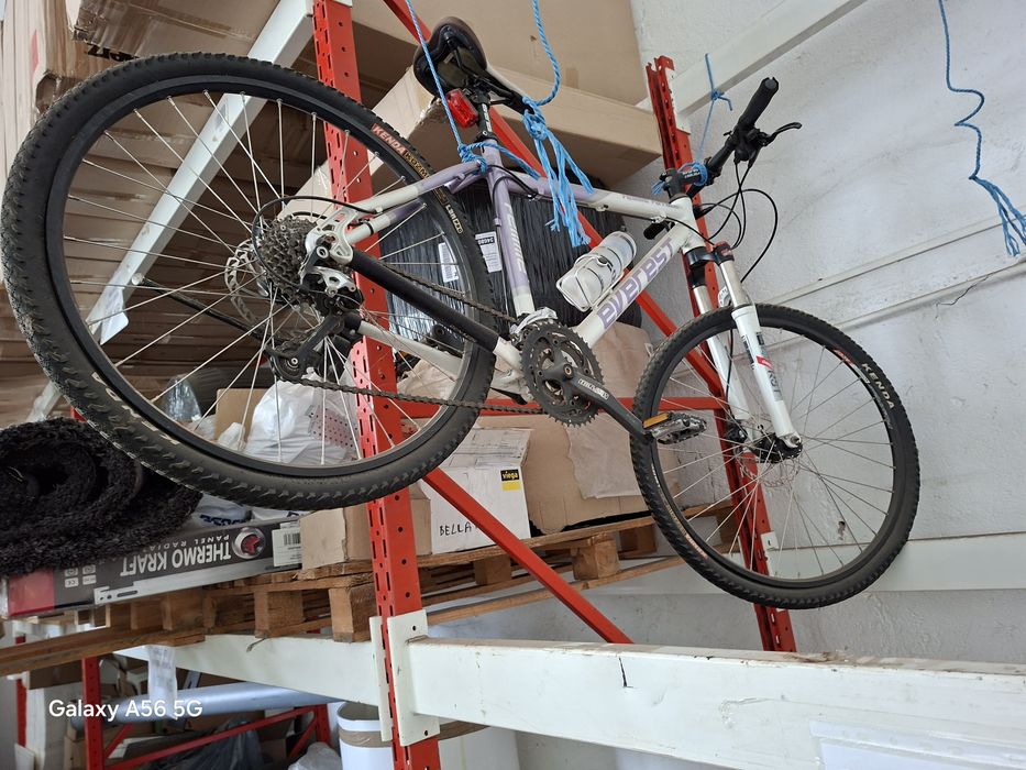 Biciclete de vânzare