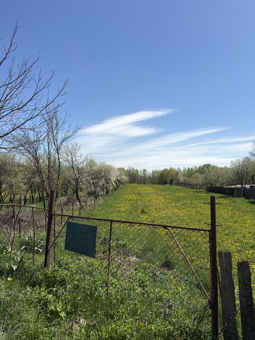 Teren 2000mp Strada 22 Decembrie Moinesti (vasiesti)