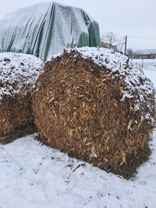 Vand baloti rotunzi de huluji(coceni)
