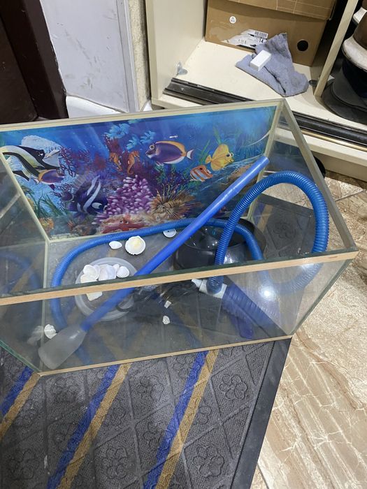 Аквариум для рыб маленький