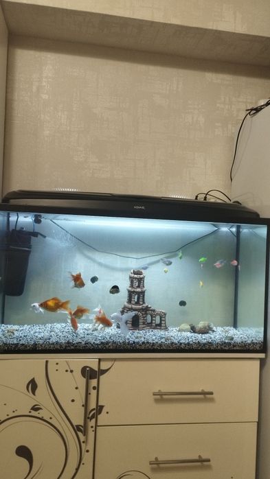 Продам аквариумы