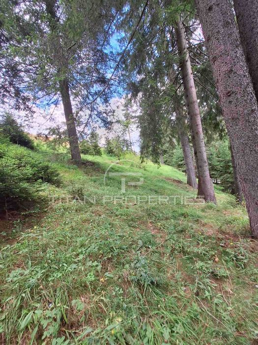 Парцел, с. Проглед