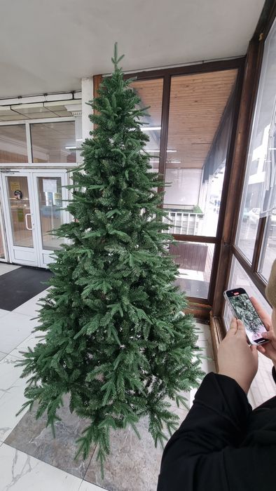 Ёлка новогодняя елка