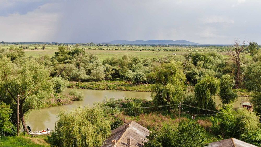 Apicola Teren Maliuc - Proprietate exclusivă în Delta Dunării – liniște absolută, acces premium, potențial investițional ridicat
