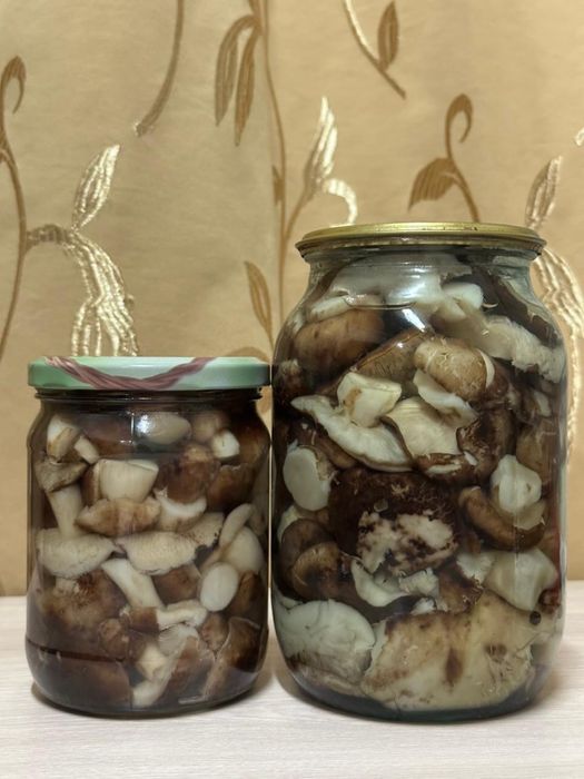 Маринованые грибы