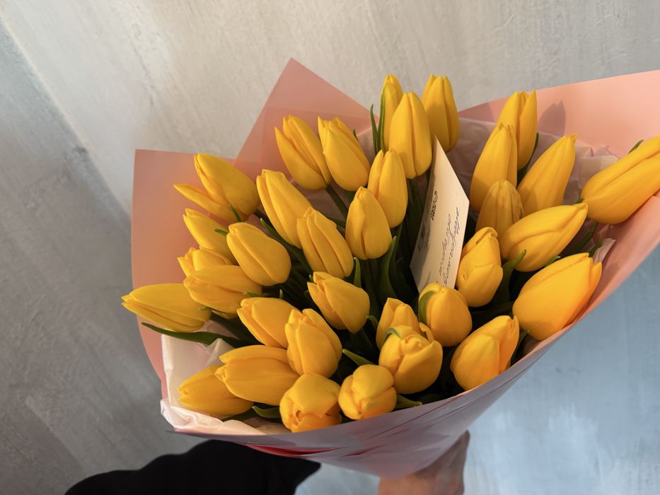 Тюльпан свежий