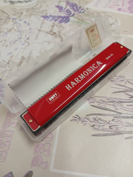 Muzicuta 24 de gauri