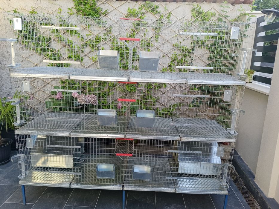 Cuști pentru iepuri