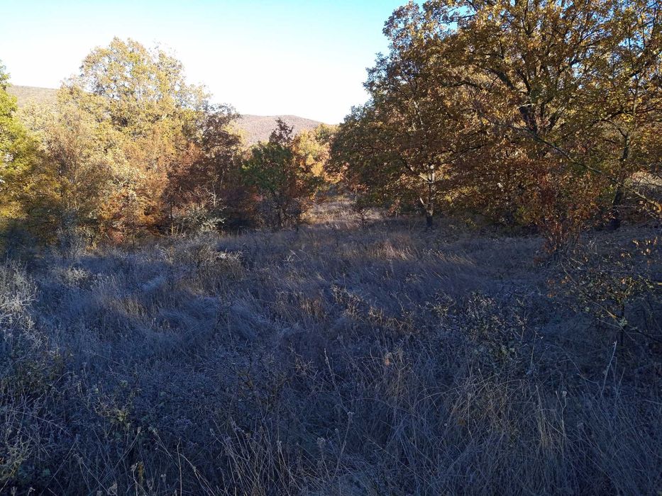 Продава се Парцел в с. Лясково, Област Стара Загора - 2220 кв.м за 10 €/кв.м - Снимка #1