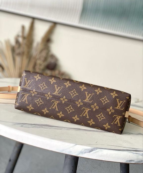 Louis Vuitton Multipass
