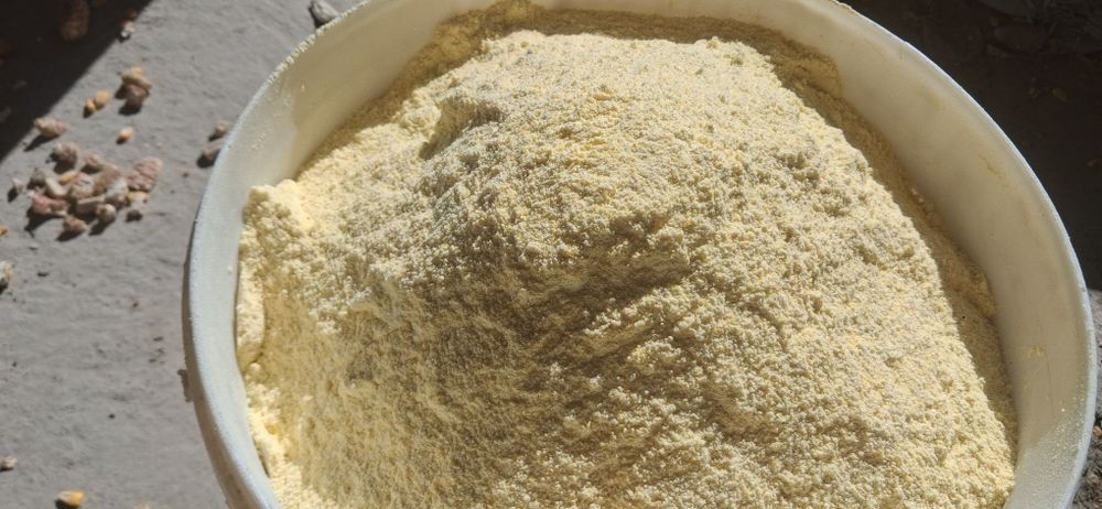 Маккажўхори уни бор