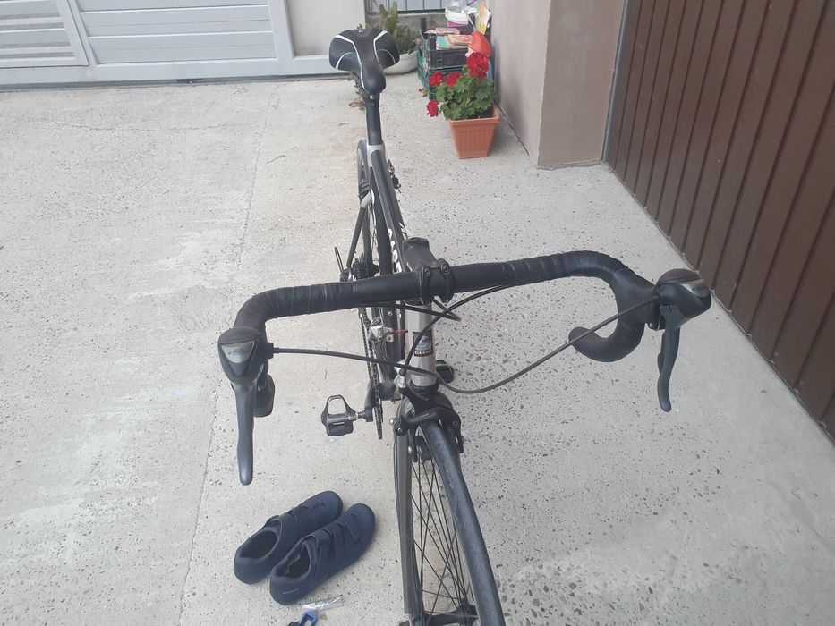 Cursiera carbon 55cm giant cadex