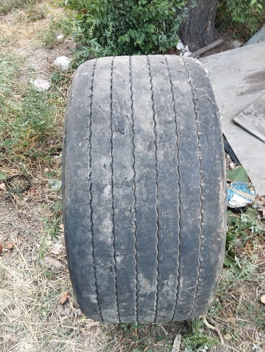 Шины грузовые  435х50х19.5 5