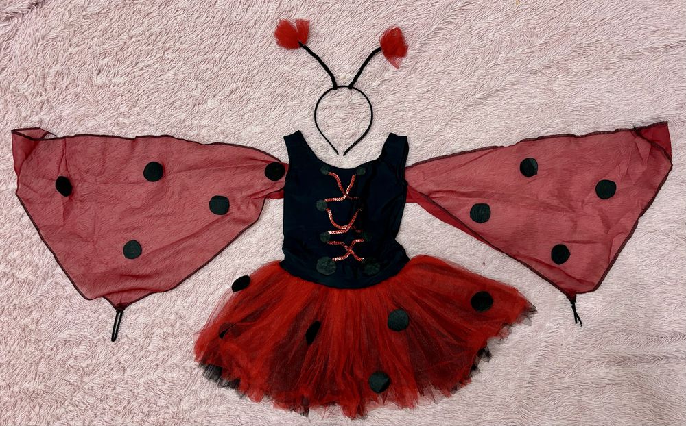 Костюм Божьей коровки