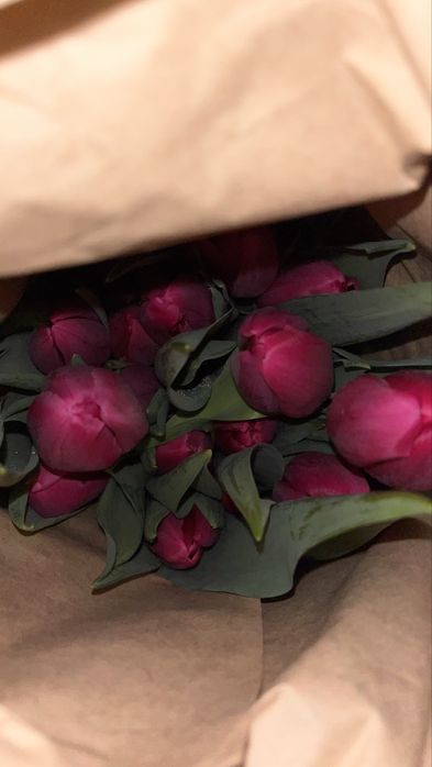 Тюльпаны оптом и в розницу