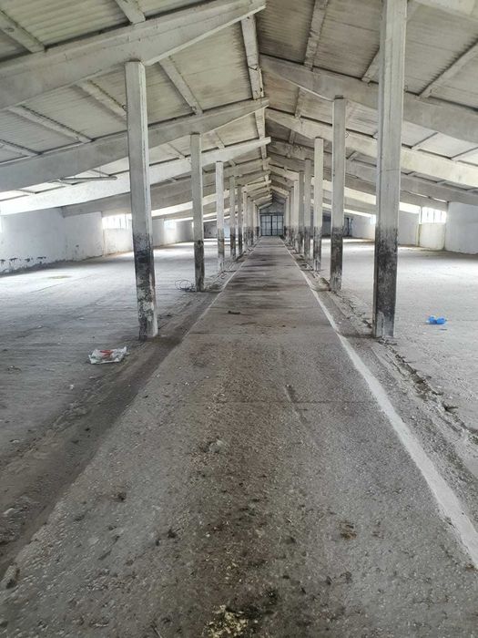 De inchiriat Depozite, Hale, service auto Filipesti E85 15 KM DE BACAU