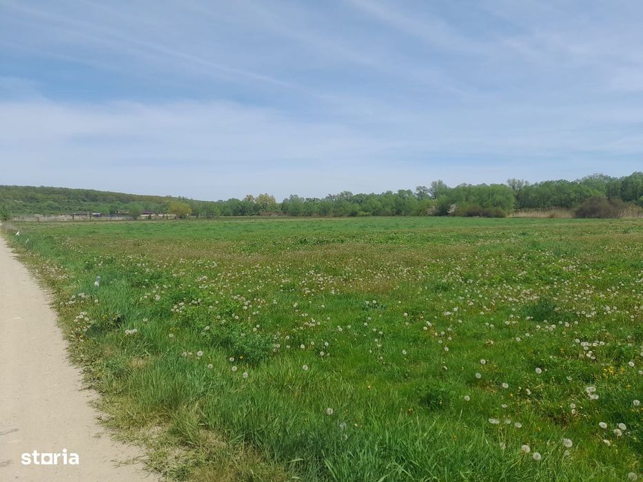 Teren de vanzare intravilan 5000 m2 Cisnadie zona SOMA