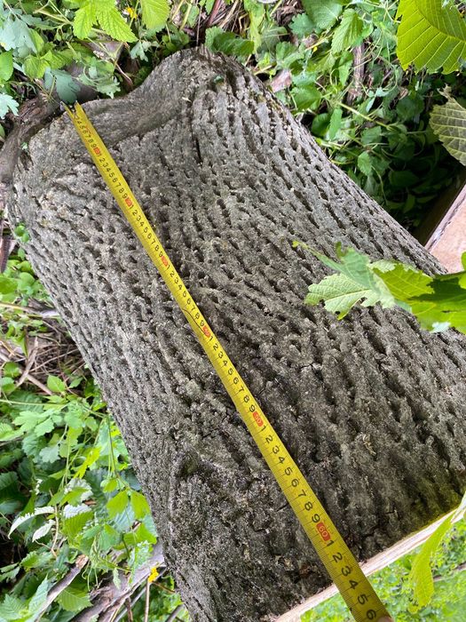 продам грецкий орех древесина