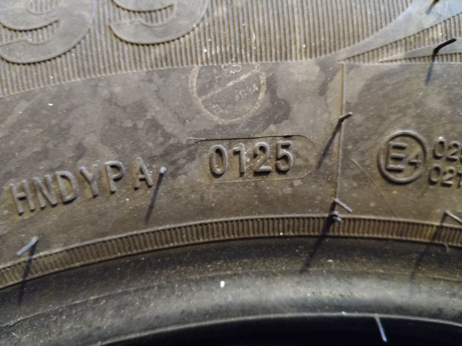 Жаздық шыйналар.