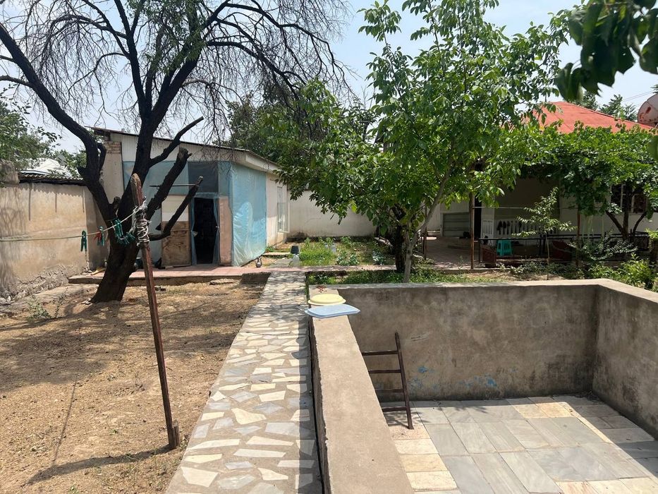 Uy Tuzel dacha Yangi O'zbekistonga yetmasdan