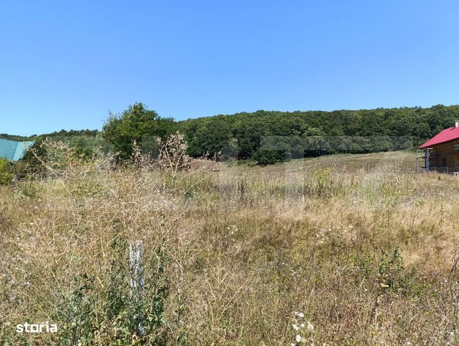 Teren 10200mp , toate utilitatile , la 10 km de DEJ