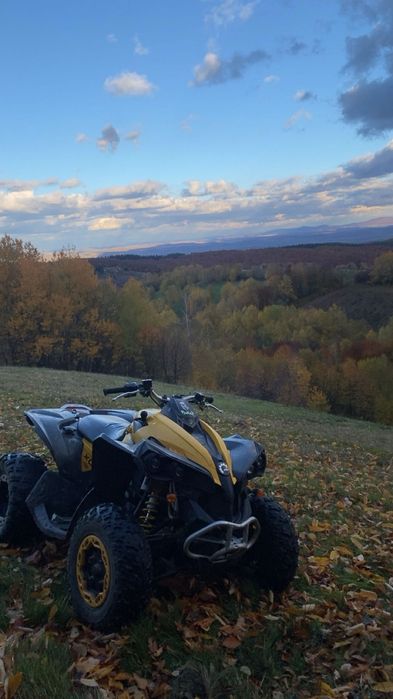 Can am renagade 800 r