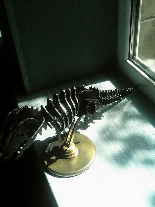 Сувенир "скелет динозавра"
