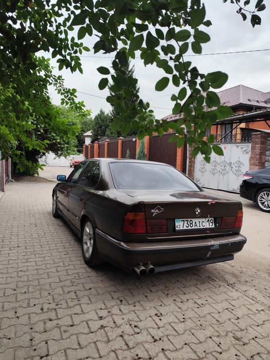 BMW e 34. Объем 2,5
