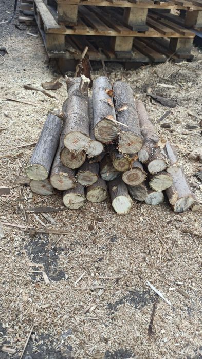 Продаю дрова в мешках круглосуточно