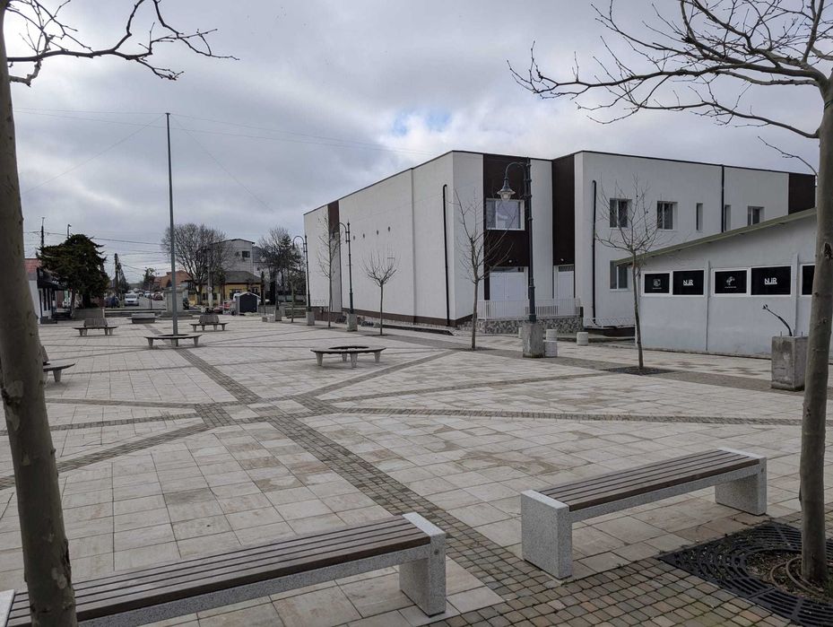 spatiu comercial servicii