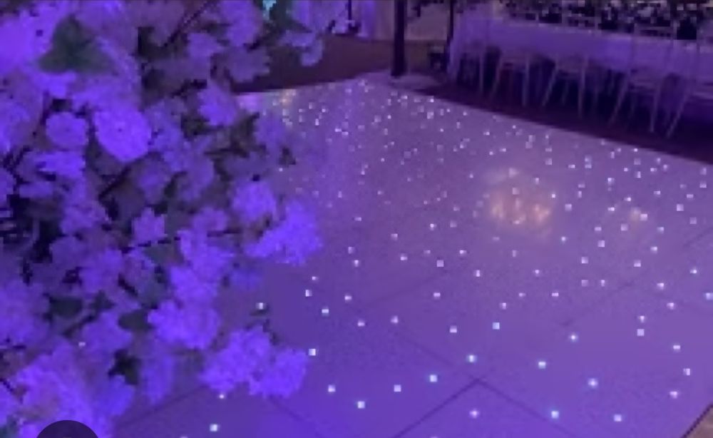 Ring dans led profesional