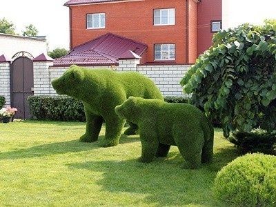 Искусственный газон