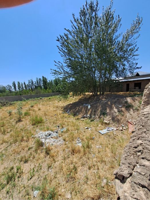 Nazarbek tolabekda 16 sotix yer sotiladi