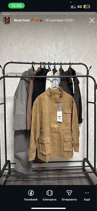 Курки осень-весна