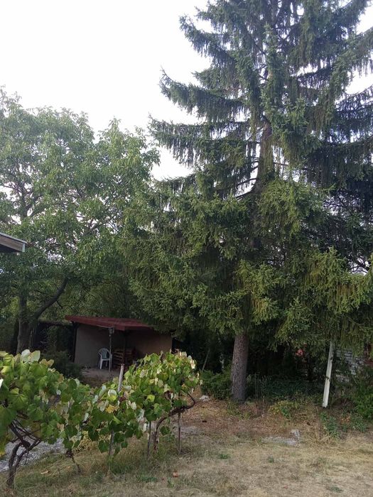 Вила с.Вакарел вилна зона Брънковци