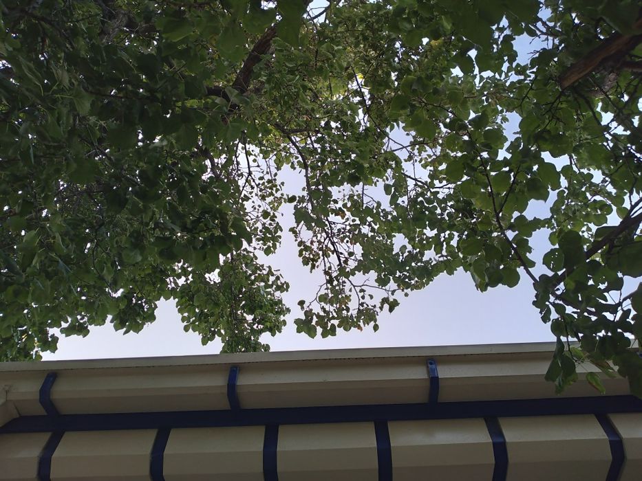 Ӯтин бепул берилади/ Драва бесплатно отдам