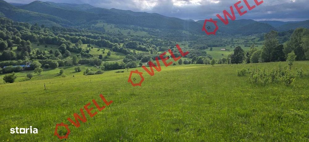 Teren extravilan de vânzare în Vama Buzăului, județul Brașov!