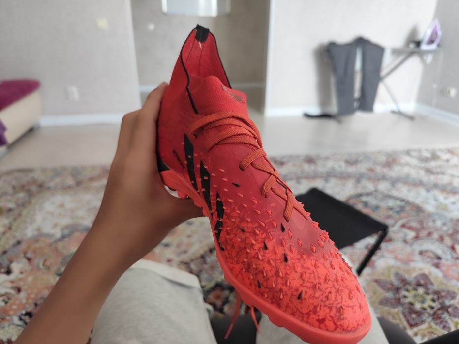 Сороконожки в отличном состоянии