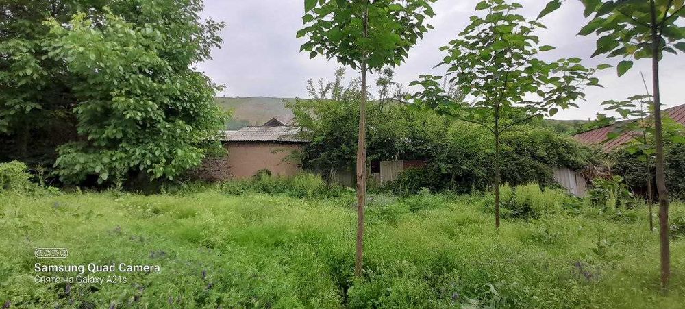 Xumsonda 13 sotix xovli sotiladi. 1 sotixi 10500$