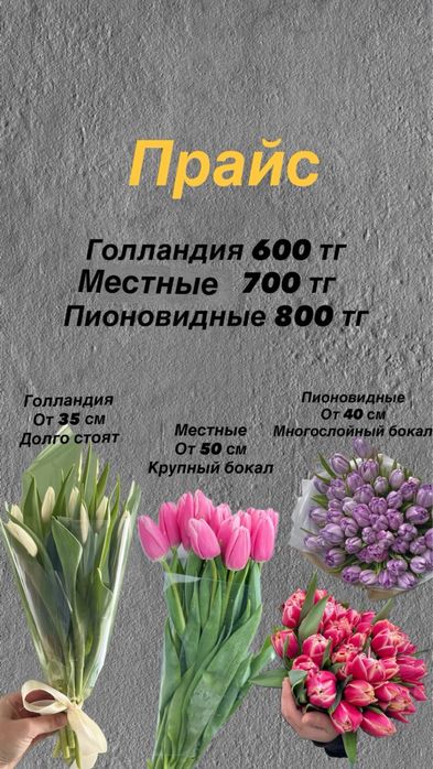 Продажа тюльпанов
