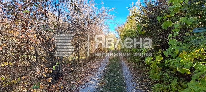 ЯВЛЕНА ЛАГЕРА продава парцел в с. Мала Раковица